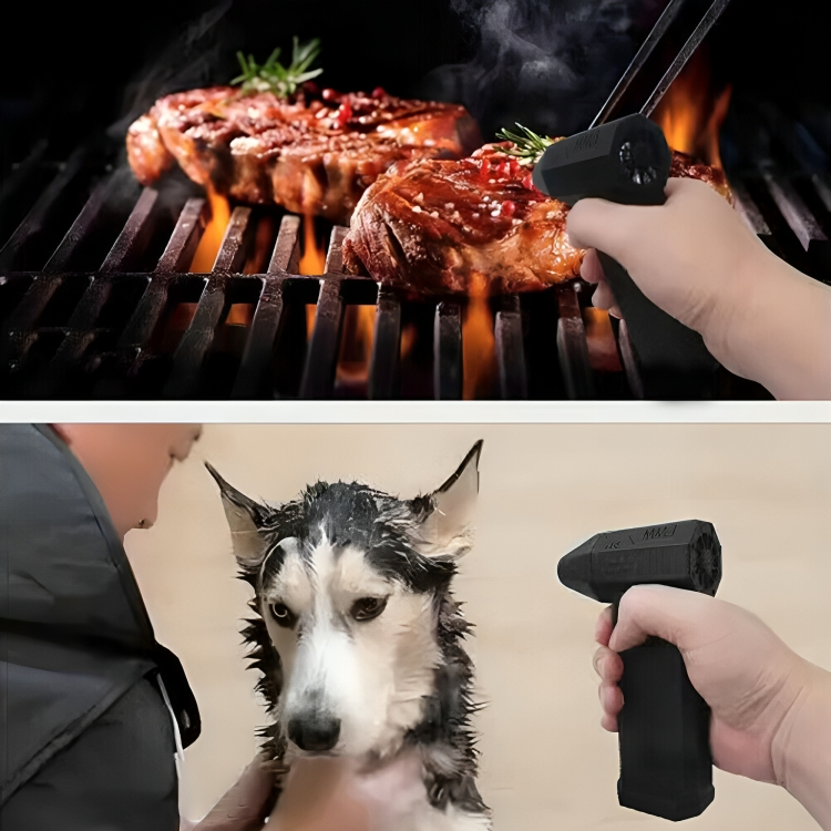 Portable Jet Blower